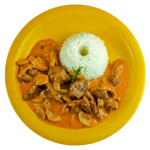 Lomo Strogonoff